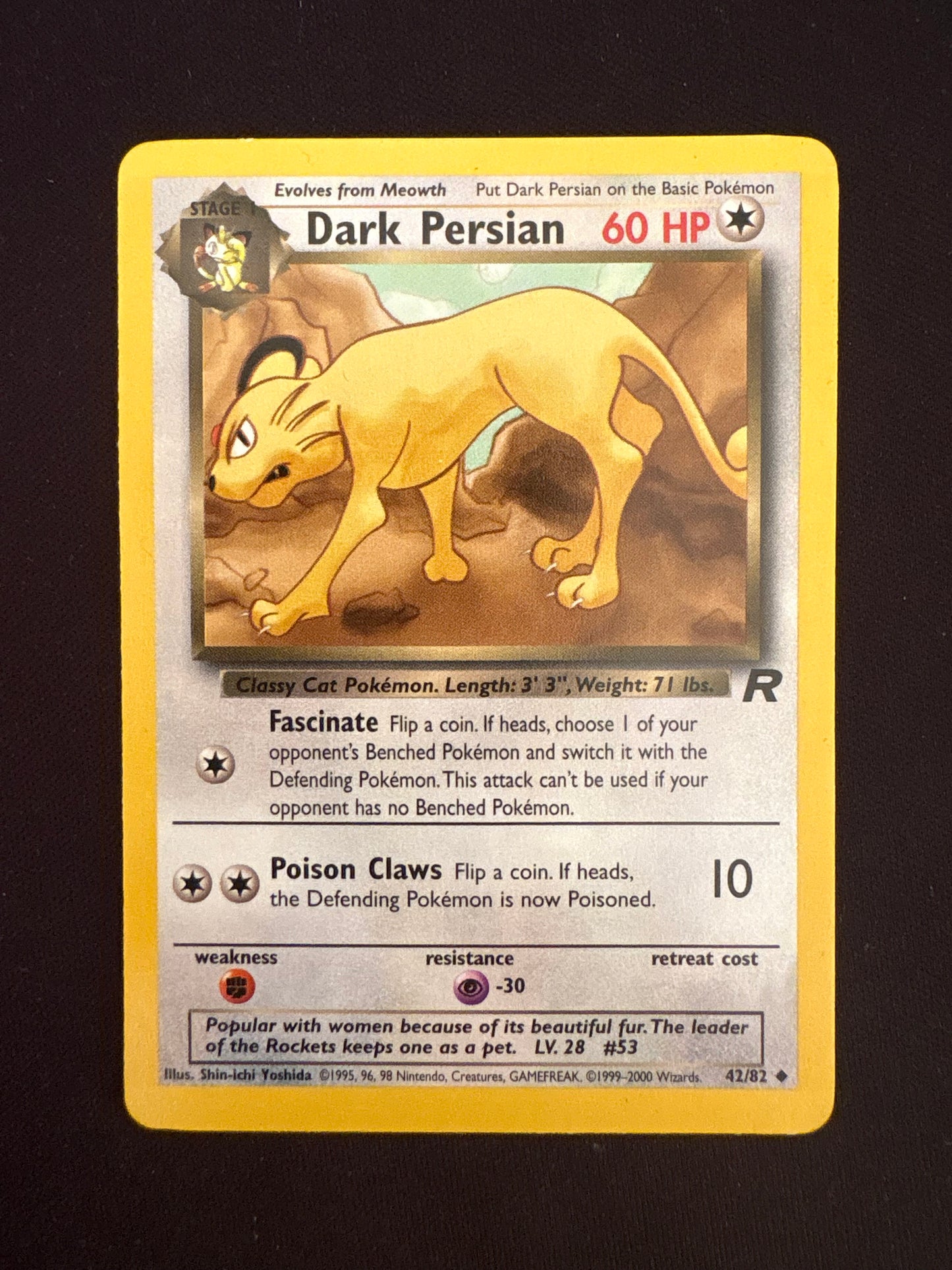 Rocket Dark Persian
