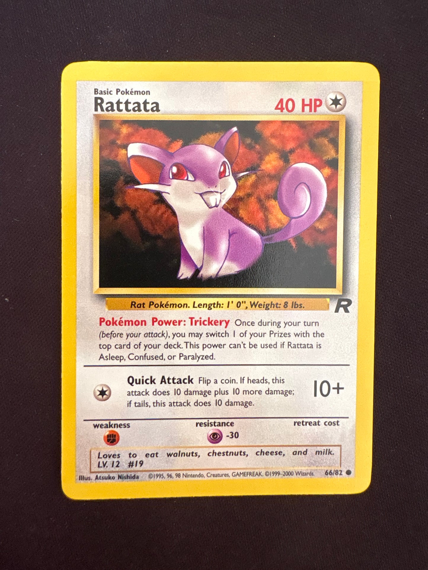 Rocket Rattata