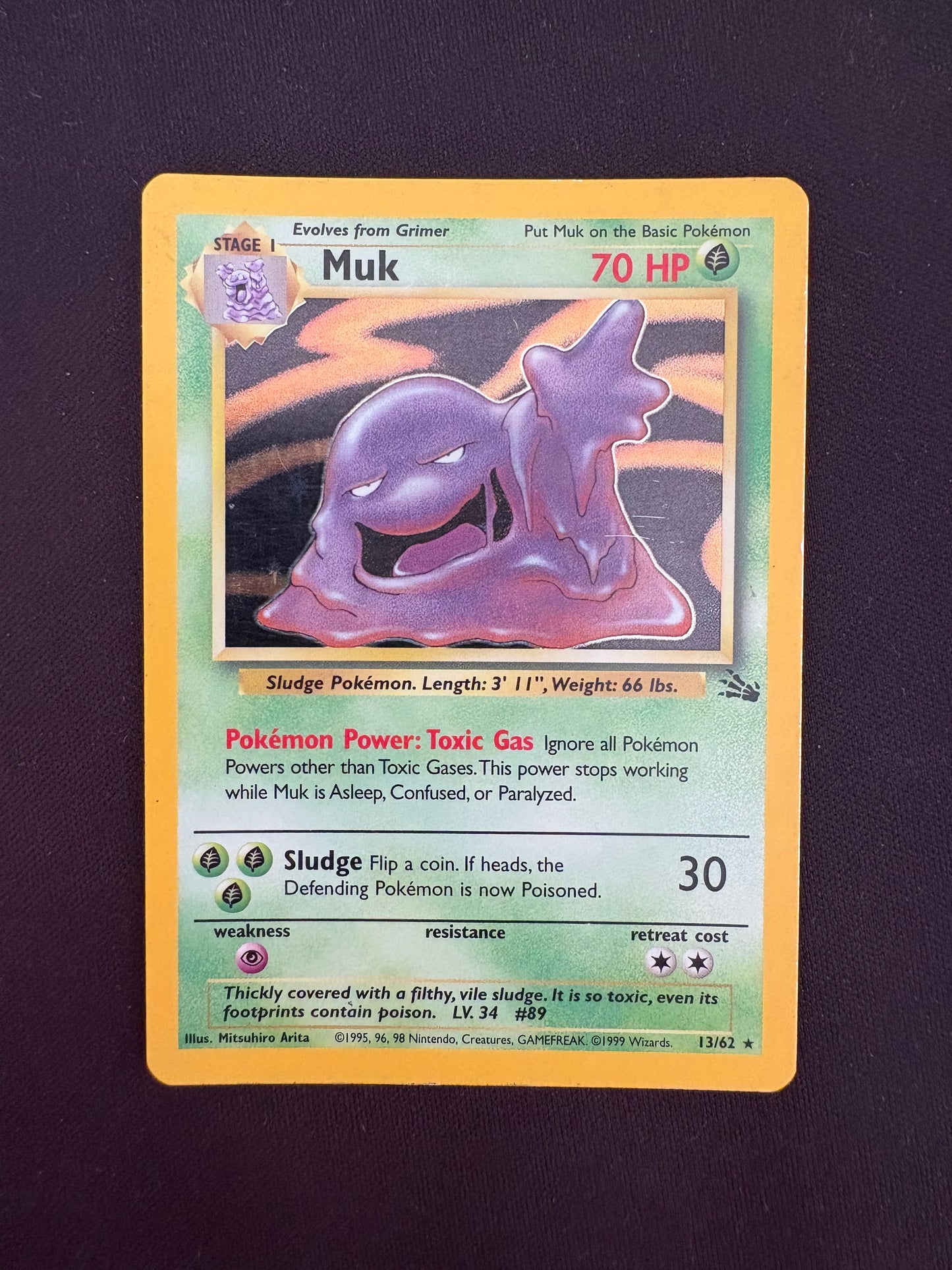 Fossil Muk Holo