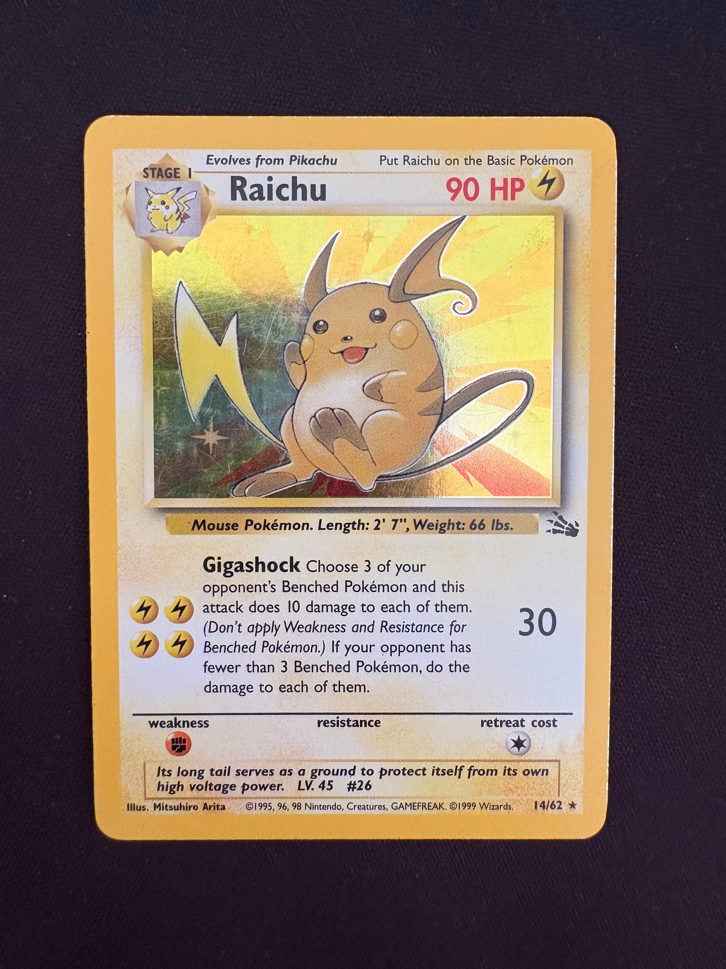 Fossil Raichu Holo