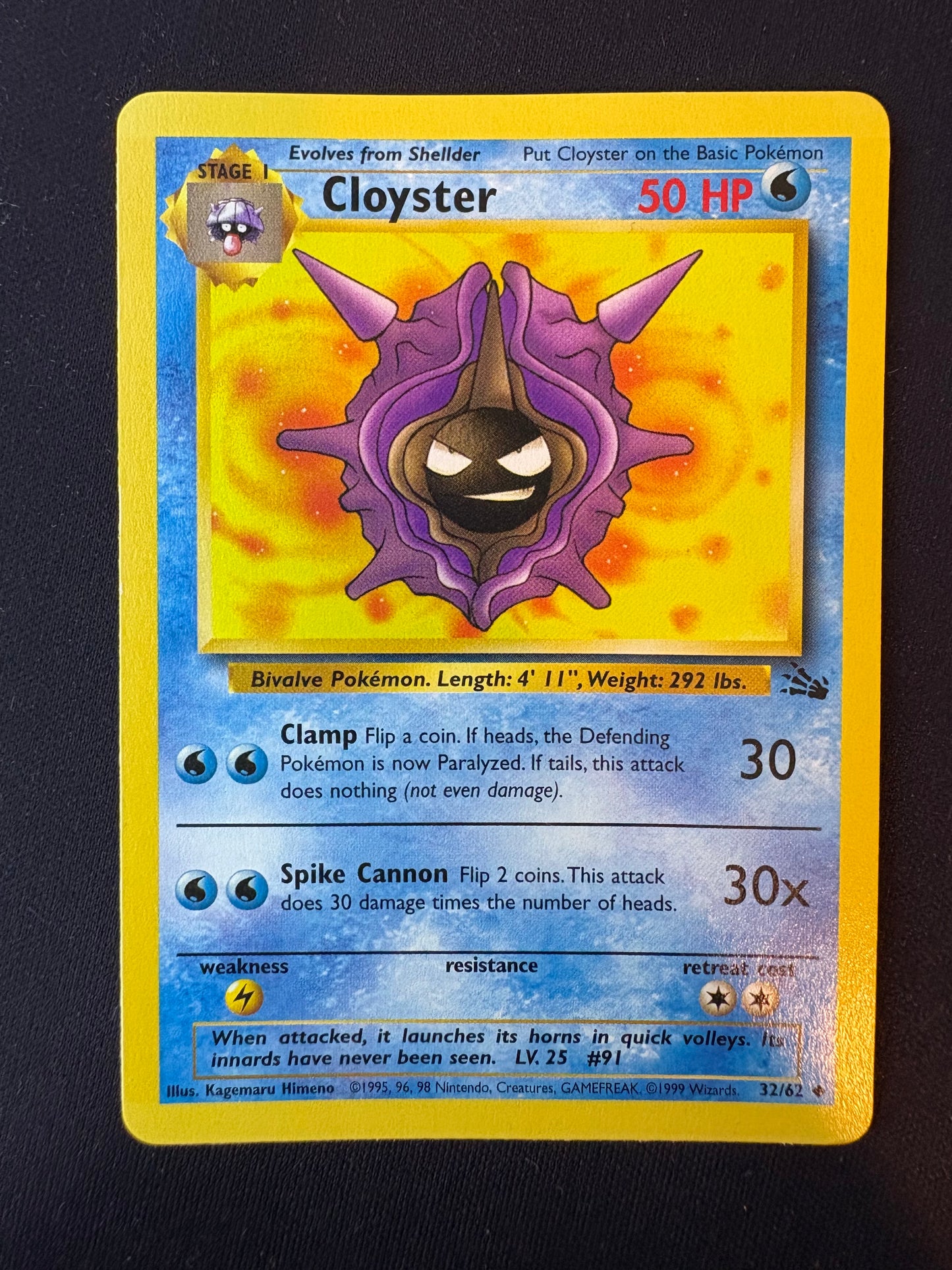 Fossil Cloyster