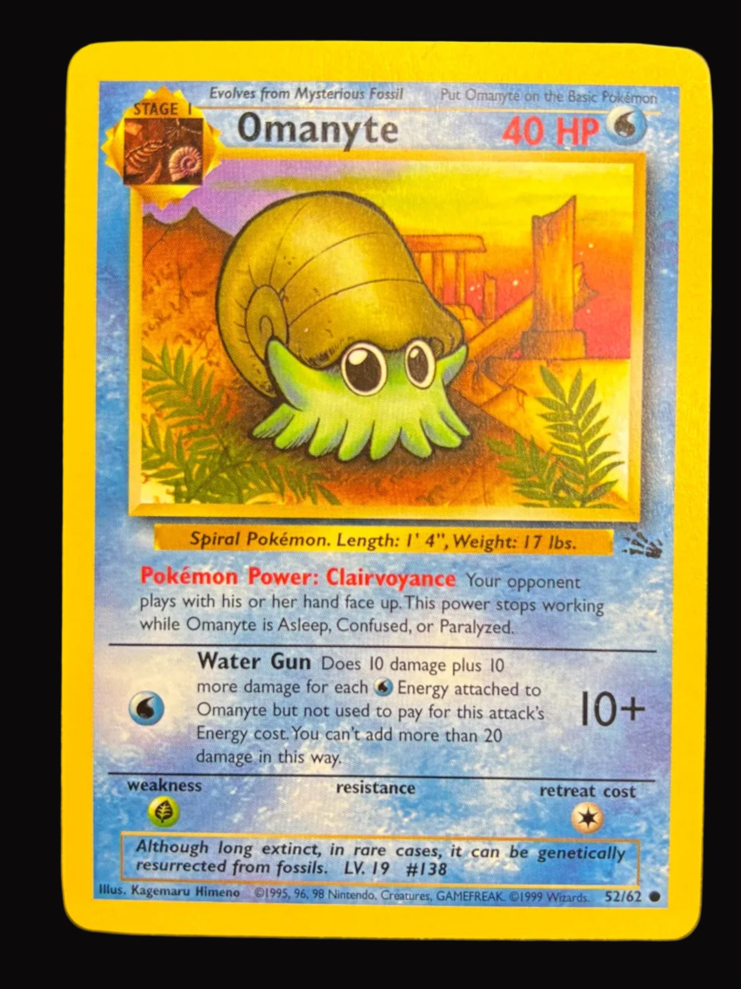 Fossil Omanyte